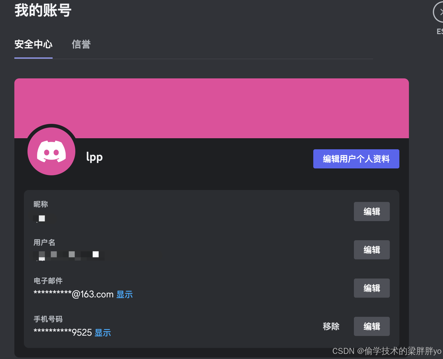 Discord PC版