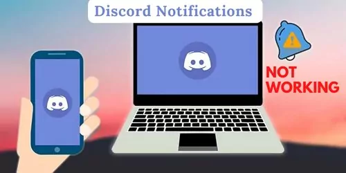 Discord 收不到通知