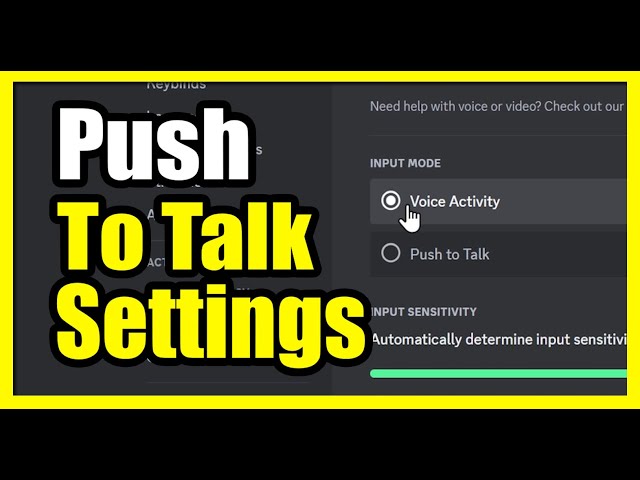 Discord Push to Talk 没声音